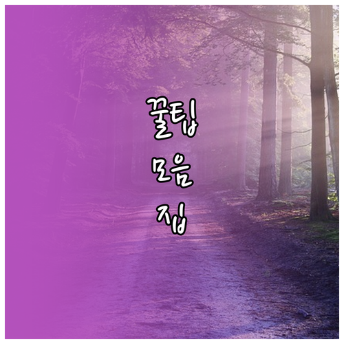 물 자국 걱정 끝! 차량 광택 살리는 세차 핵심 단계