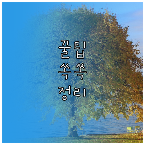 노트북 발열 소음, 더 이상 참지 마세요! 완벽 대처법