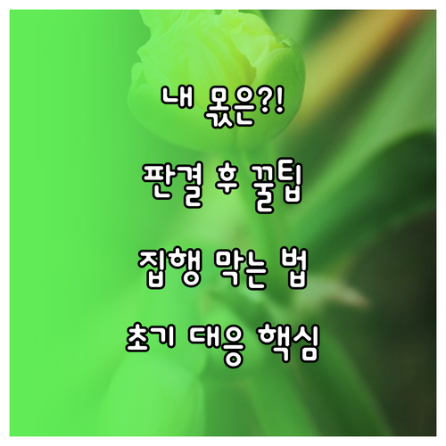 상속분 확보를 위한 이행 판결과 강제집행 초기 대응 전략