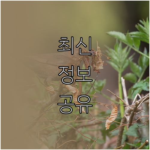 쾌적한 노트북 환경! 먼지 없는 팬이 만드는 놀라운 변화.
