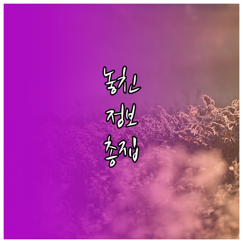 예금보다 높은 수익? 채권으로 자산 불리는 핵심 전략
