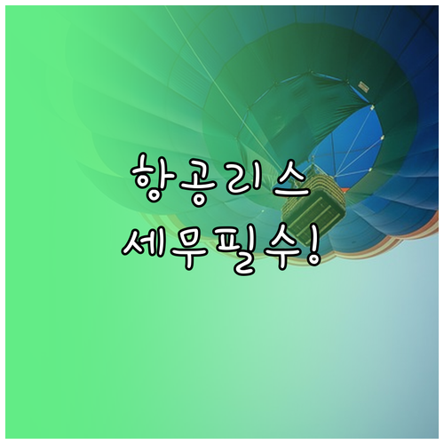 IFRS 16과 세법상 운용리스 요건 항공기 리스 세무 처리 변화 분석