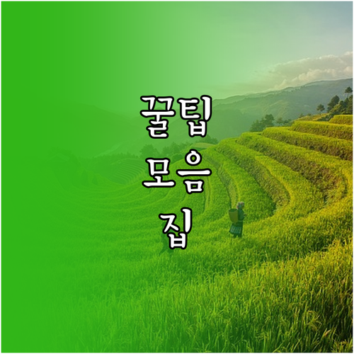 다이어트 효과 2배 단백질 섭취 신진대사 높이는 법