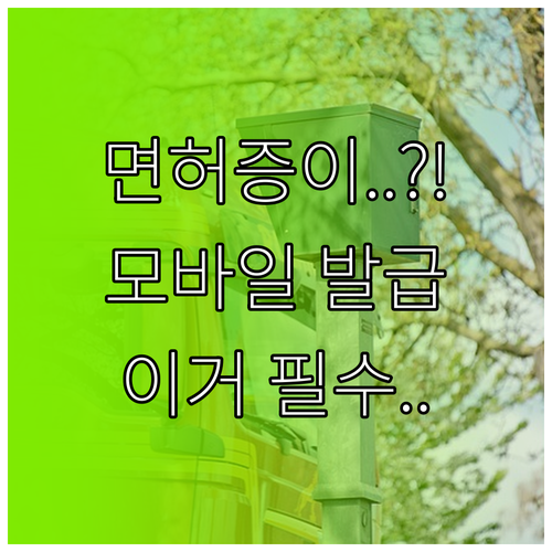 모바일 운전면허증 발급 비용과 사용처 총정리