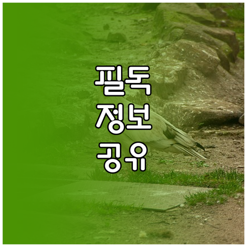 RSI MACD 활용, 객관적 투자 판단 위한 지표 분석