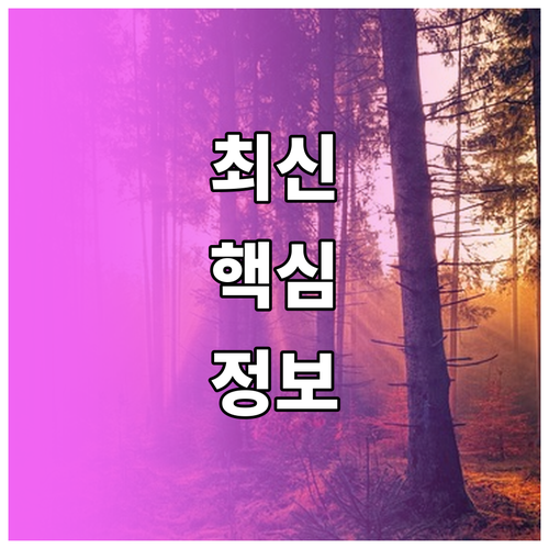 미국 ESTA $21 확정: 지금 바로 준비해야 할 핵심 정보
