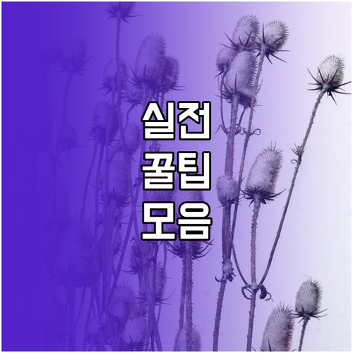 내 아이폰 연락처 지저분하다면 이 방법으로 완벽 정리