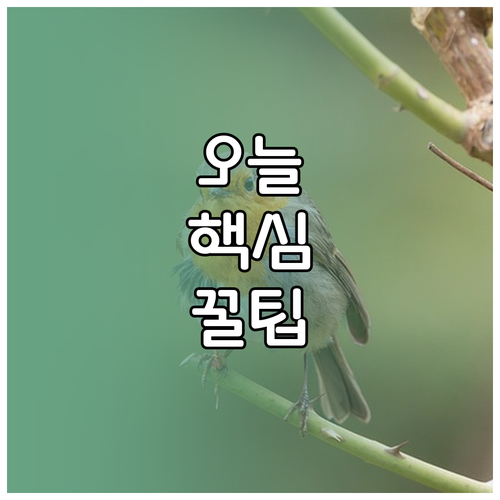 2021 상생페이백 지금은? 소득 무관 지원금의 모든 것