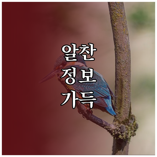 노트북 화면 안 켜질 때, 하드웨어 고장 진단법