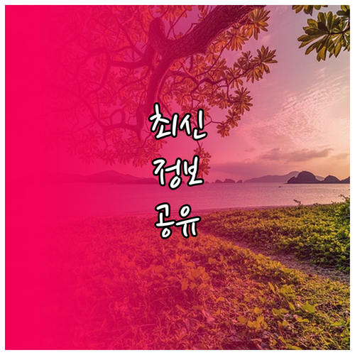 ESTA 사설 사이트 함정 피하기: 진짜 공식 주소는?