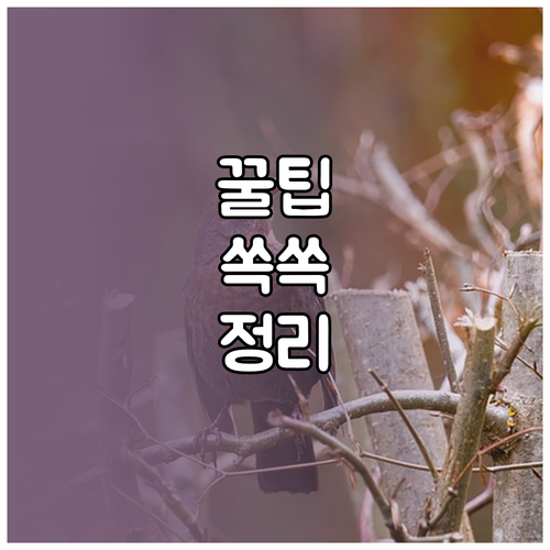 스마트폰 배터리 수명 연장 비밀! 교체 시기 놓치지 마세요