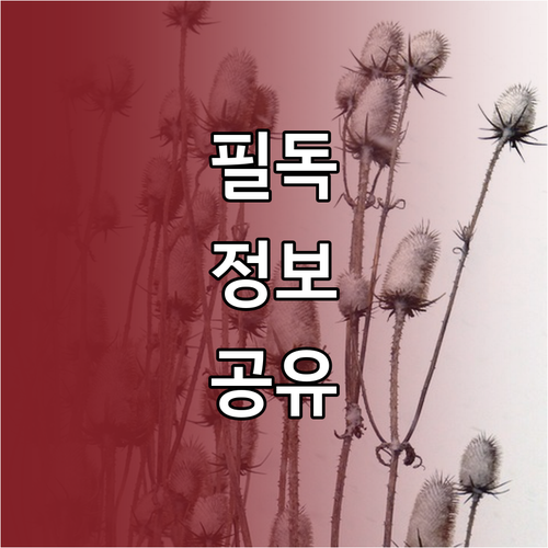 EVUS 수수료 $30 인상! 미국 비자 갱신 필수 정보