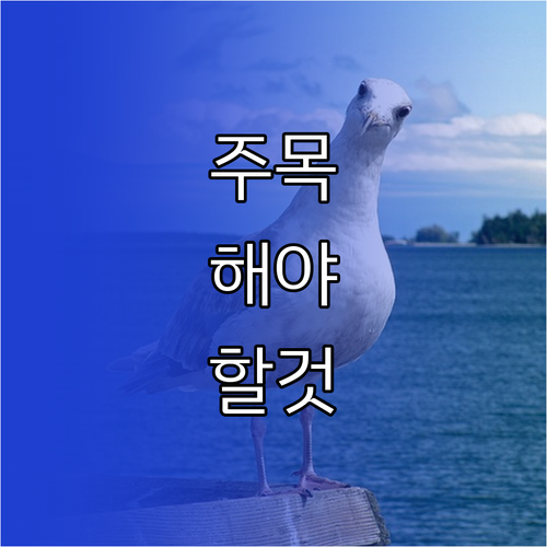 자동차 전조등 자가 교체, 감전 없이 안전하게 하는 법