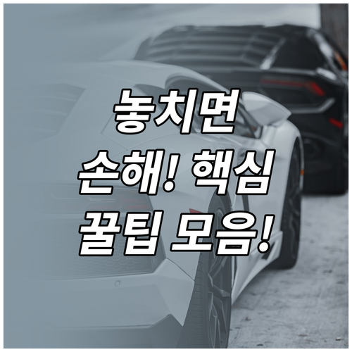 자동차보험 만기일 조회부터 갱신까지 놓치면 안 되는 핵심 정보