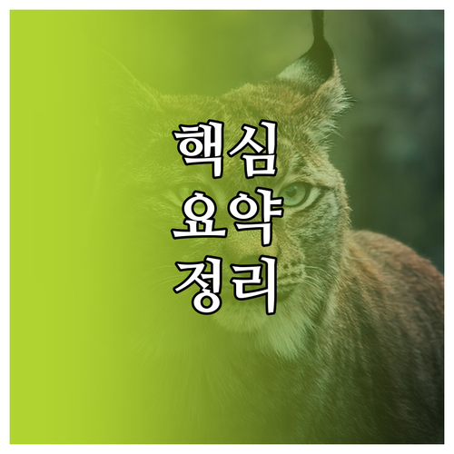 노트북 전원 켜지는데 화면이 검은색 해결책은 이것