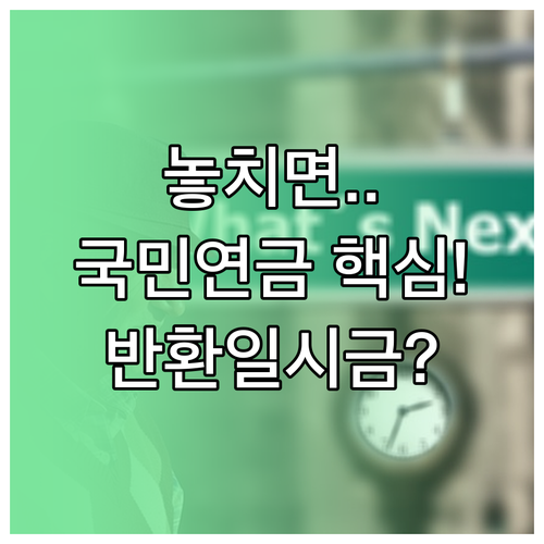 국민연금 반환일시금의 핵심 정보와 유의사항