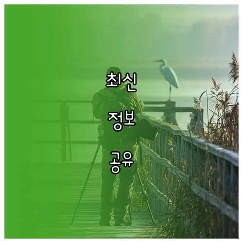 내 폰 앱 자꾸 멈춤? 앱 강제 종료 원인과 해결책