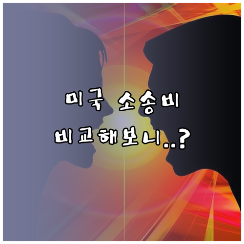 미국 특허 소송 비용과 다른 국가들의 비교 분석
