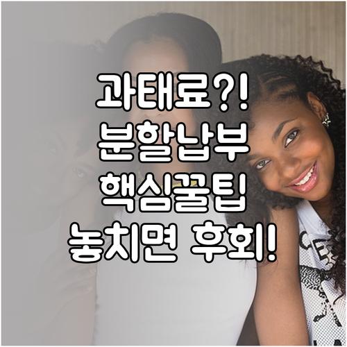 과태료 분할납부, 어떤 조건에 신청하고 어떻게 진행할까?
