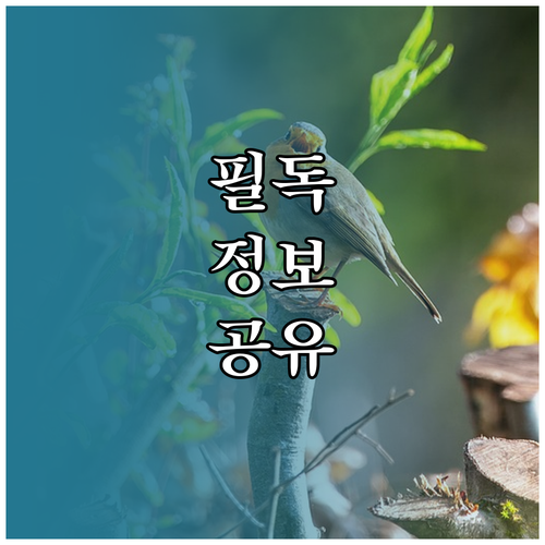 내 차 공기 필터 언제 바꿨지? 호흡기 지키는 교체 주기