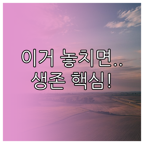 탄소중립 인증은 기업 생존을 위한 최고의 전략적 투자입니다