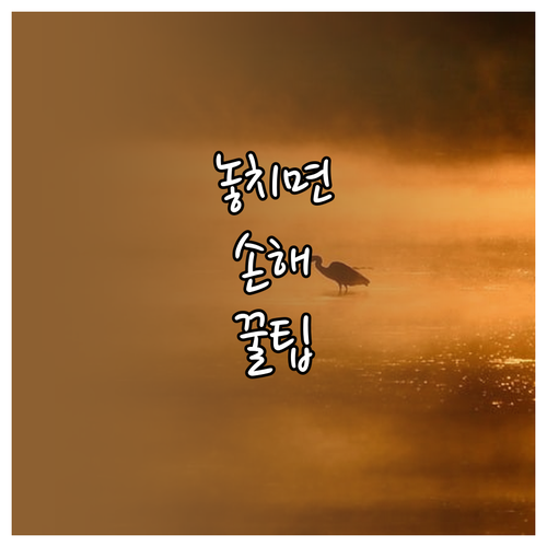 컴퓨터 자동 종료 설정: 윈도우 맥 타이머, 예약, 취소 공략