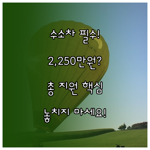 개인 법인 수소차 구매 지원금: 2,250만원 국비 포함 총 금액