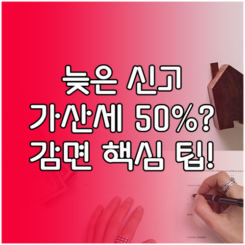 부가세 기한 후 신고 시 무신고 가산세 50% 감면 혜택 상세