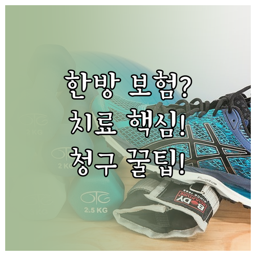 한방 다이어트 보험, '질병 치료' 목적 입증이 청구의 핵심