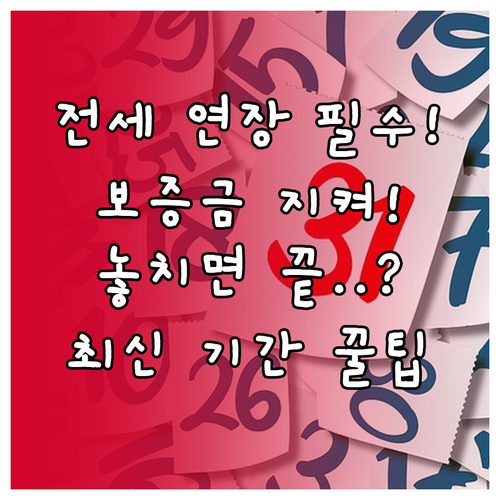 전세 계약 연장 시 보증 효력 유지를 위해 반드시 지켜야 할 신청 기간