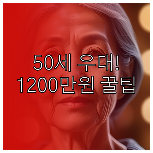 만 50세 이상 우대 한도 1,200만원 확인: 연금저축 절세 핵심 정보