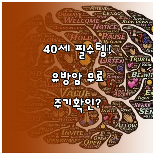여성 건강 필수 안전망 만 40세 유방암 무료 검진 주기 확인