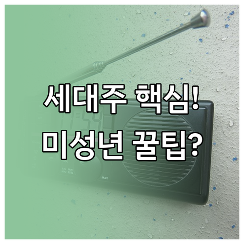 재난지원금 신청 주체: 세대주 원칙 및 미성년자 처리 방안