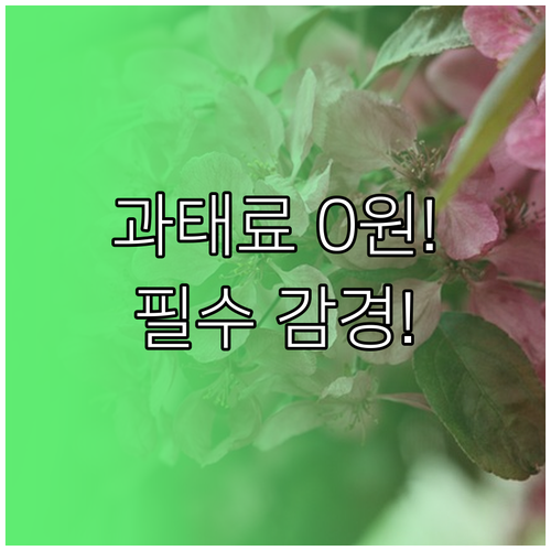 불필요한 과태료 지출을 막는 정기 조회와 감경 활용 3대 원칙