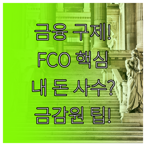 금융소비자 권리 구제를 위한 FCO와 금감원 활용 행동 원칙