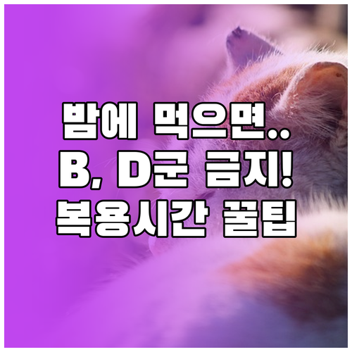 밤에 먹으면 안 되는 영양소 B군 D군 복용 시간 엄수법