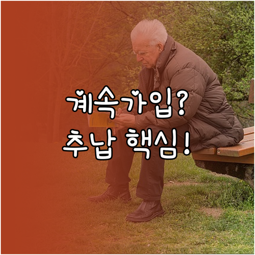 국민연금 60세 이후 임의계속가입 자격, 제외 조건 및 추납 의무 확인