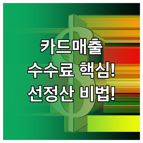 카드매출 가맹점 수수료와 선정산 금융 수수료 구조 완벽 분석