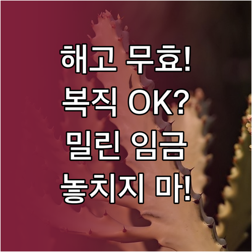 해고 무효 판결 확정 시 원직 복직 및 임금 상당액 회복