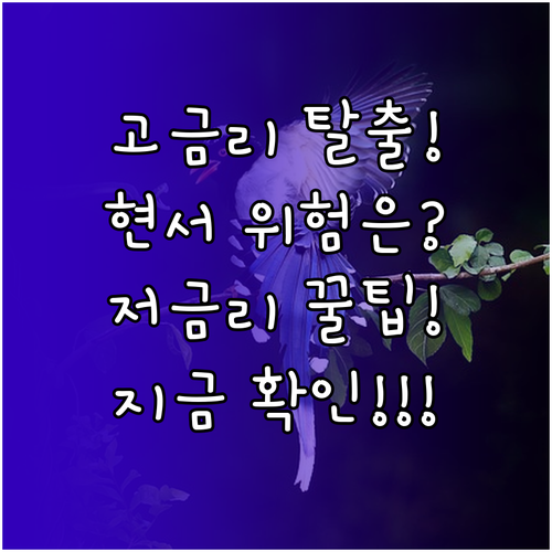 고금리 현금서비스 위험 관리와 저금리 대출 대안 비교 분석