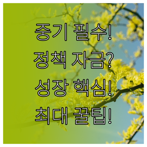 성장 동력 확보를 위한 중소기업 정책자금 대출 조건과 전략적 접근