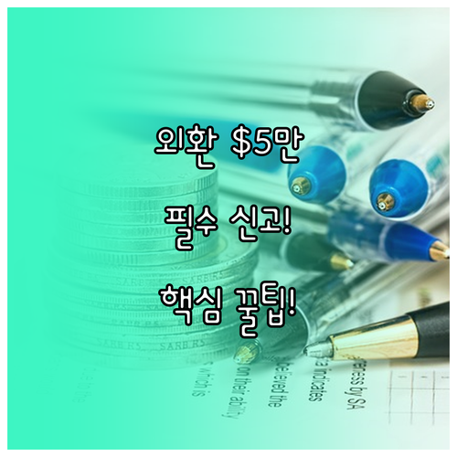 외환거래 미화 5만 달러 한도 신고 및 조회 필수 정보
