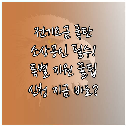 소상공인 전기요금 특별 지원 자격 요건, 신청부터 지급까지