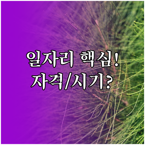 노인 일자리 사업 지원 자격, 신청 시기와 선발 기준 상세 안내