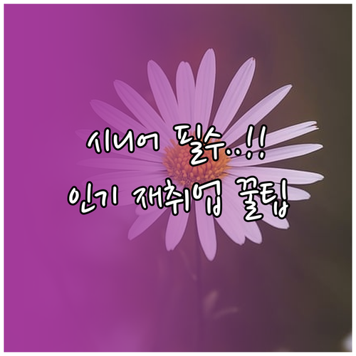 시니어 무료 평생교육: 늘배움부터 재취업 인기 강좌까지 총정리