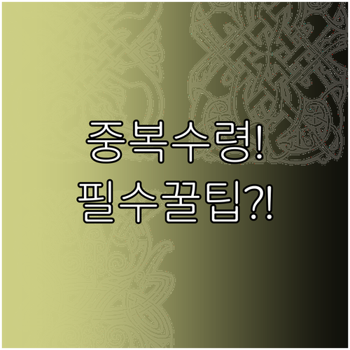 국가 보조금과 지자체 지원금 중복 수혜 활용 전략
