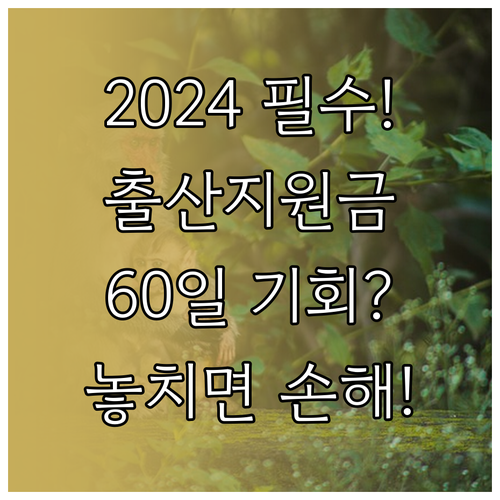 놓치면 손해 2024년 출산지원금 60일 골든타임 신청 전략