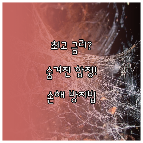 최고 금리만 보고 가입하면 손해 고금리 예금의 숨겨진 함정 분석
