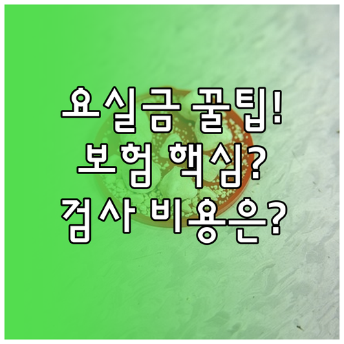 복압성 요실금 수술 보험 적용 여부 결정하는 요역동학 검사의 역할과 비용