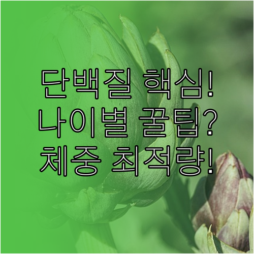 체중별 단백질 최적 섭취량 설정 활동과 연령에 따른 맞춤 전략